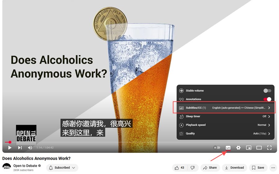 youtube网页端设置中文字幕 youtube网页端设置中文字幕